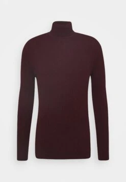 Pier One Muscle Fit Turtle - Jumper - Mottled Bordeaux -Trend Fusion Shop d6bb26cd2a7941d69a2388e64193126d